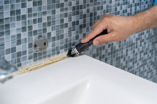 Best Mold Remediation  in Delhi, LA