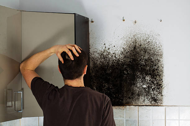 Water Damage Restoration in Delhi, LA